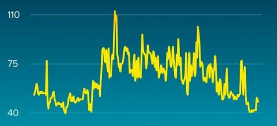 Fitbit Heart Rate Monitor