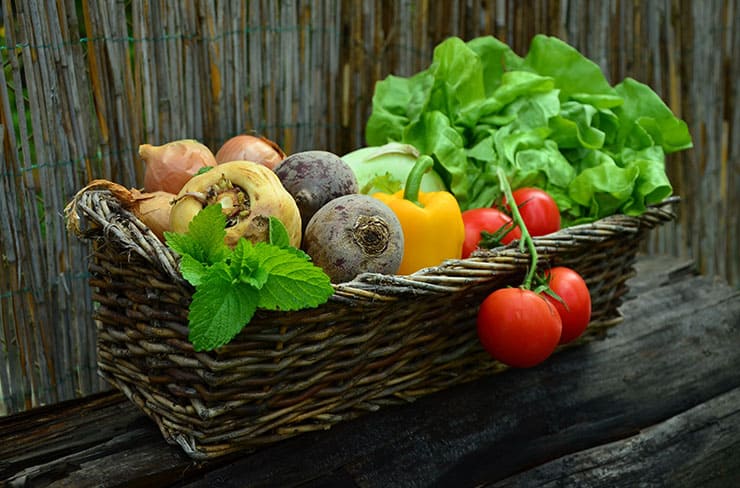 The Paleo Diet: Organic Vegetables