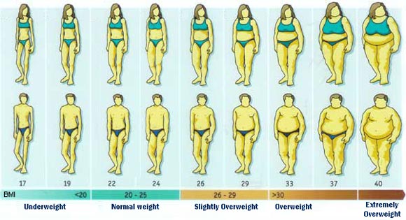 Body mass index calculator height and weight