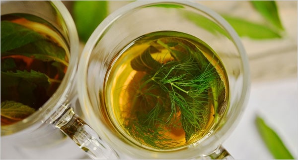 Weight loss supplements - Green tea