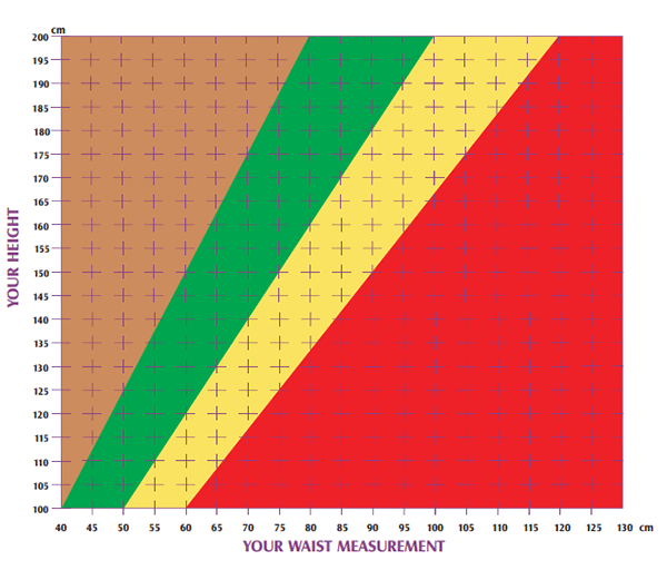 Waist to Height Ratio Chart