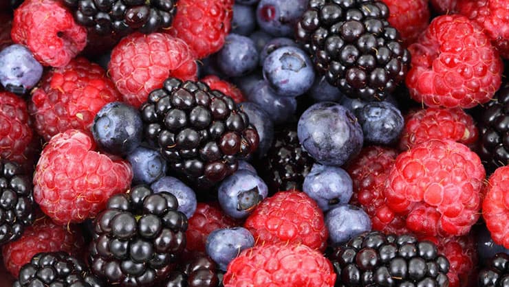 The Paleo Diet: Organic Fruits