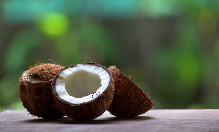 Healthy Fats: Coconut