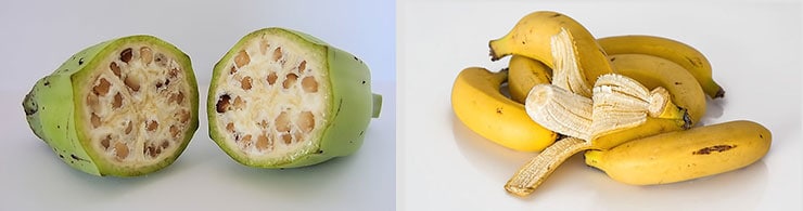 Low Carb Fruits - Banana